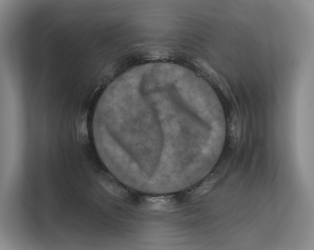 X0000111810516200908201113