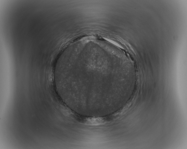 X0000111810517200908201113
