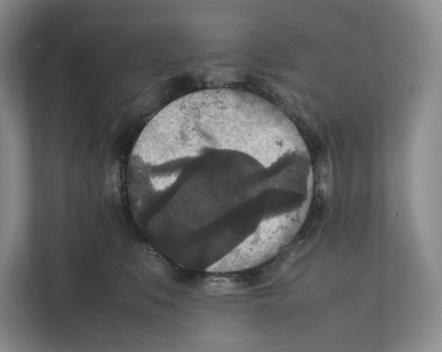 X0000111810519200908201113