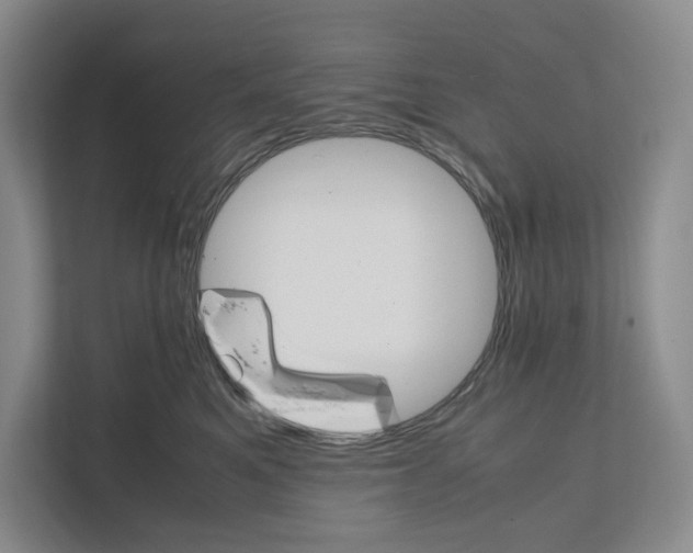 X0000111810521200908201113