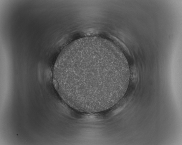 X0000111810523200908201113