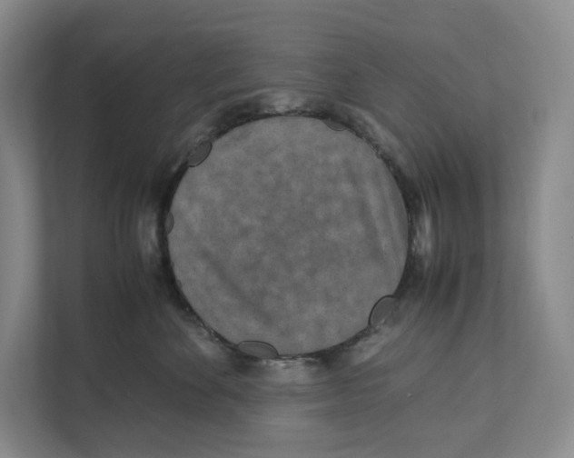 X0000111810524200908201113
