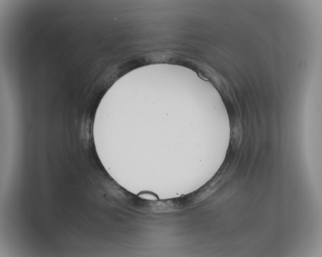 X0000111810525200908201113