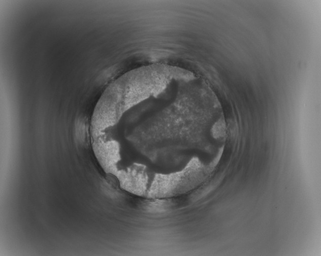 X0000111810527200908201113