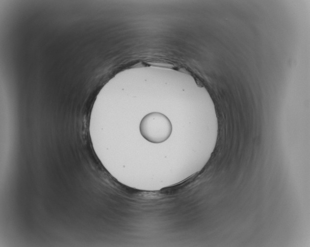 X0000111810528200908201113