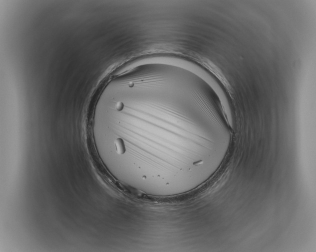 X0000111810530200908201112