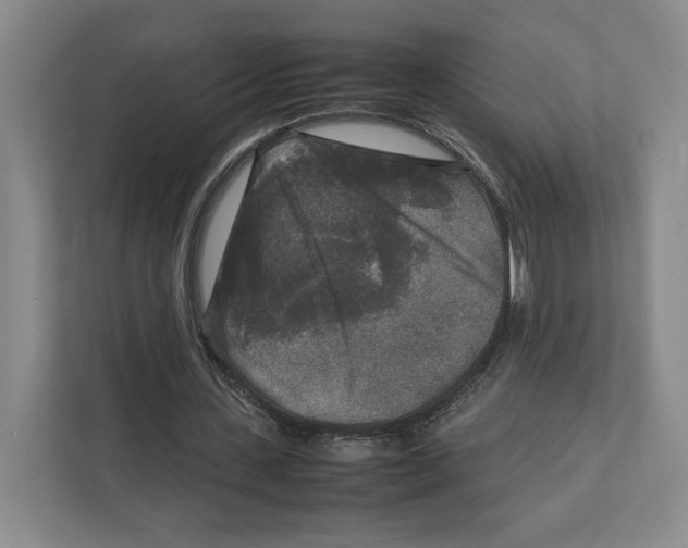 X0000111810531200908201112