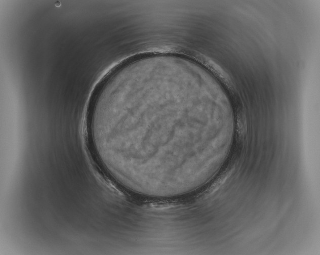 X0000111810532200908201112