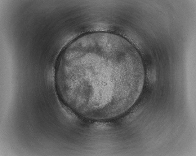 X0000111810534200908201112