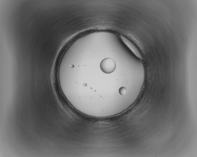 X0000111810536200908201112