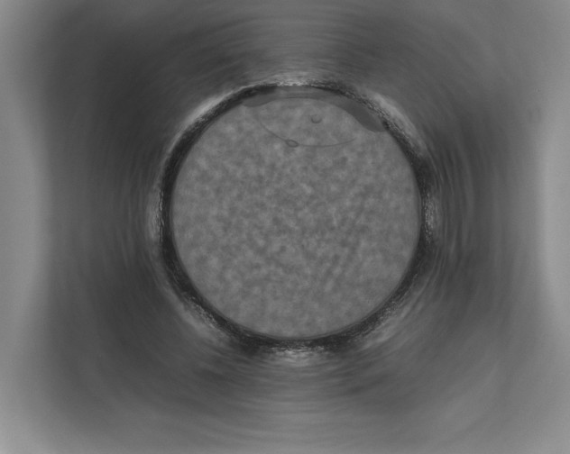 X0000111810540200908201112