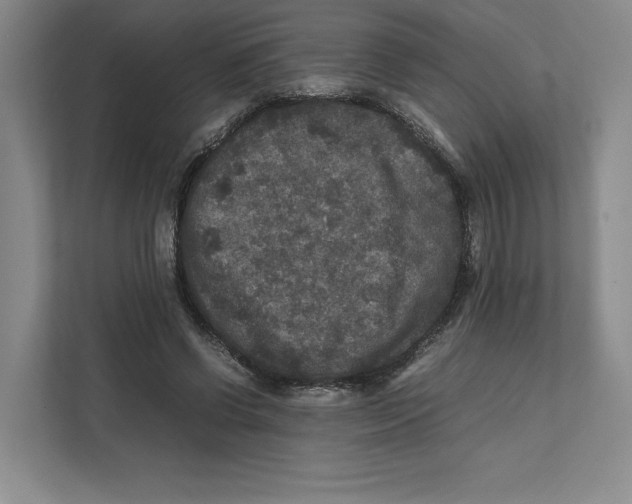 X0000111810542200908201112