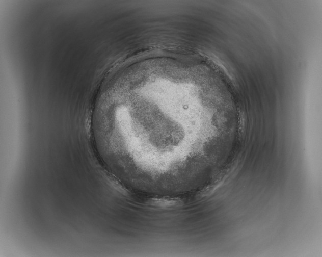X0000111810545200908201112