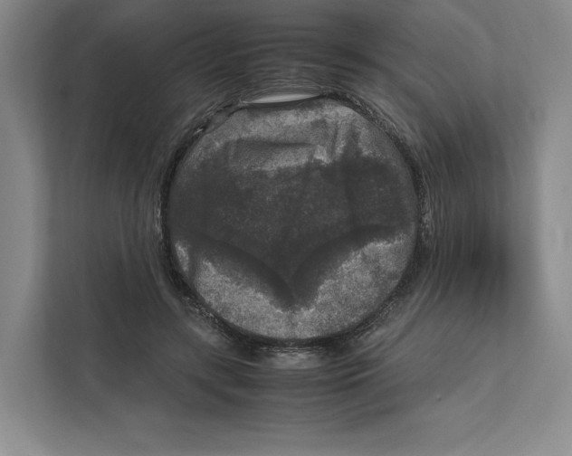 X0000111810547200908201112