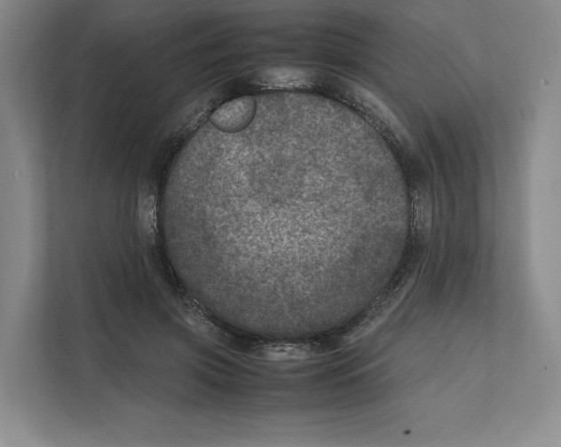 X0000111810549200908201112
