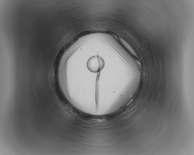 X0000111810552200908201113