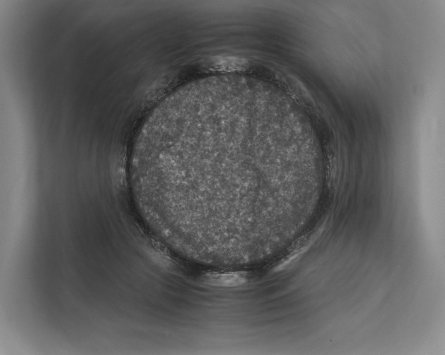 X0000111810553200908201113