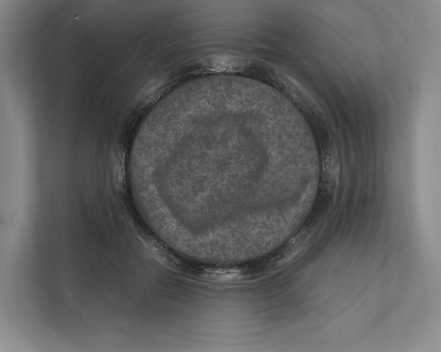 X0000111810554200908201113