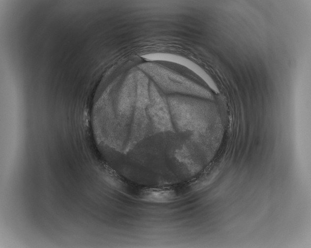 X0000111810555200908201113