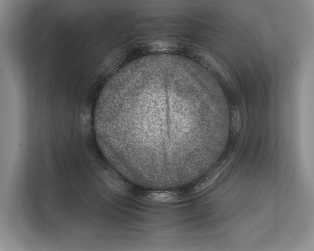X0000111810557200908201113
