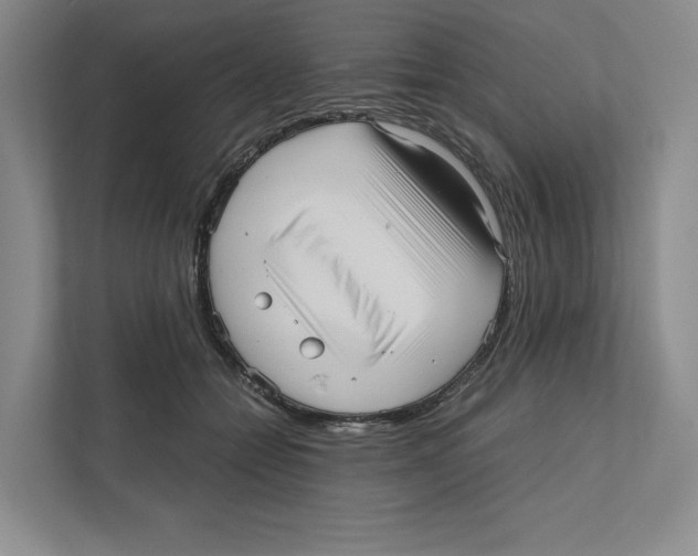 X0000111810558200908201113