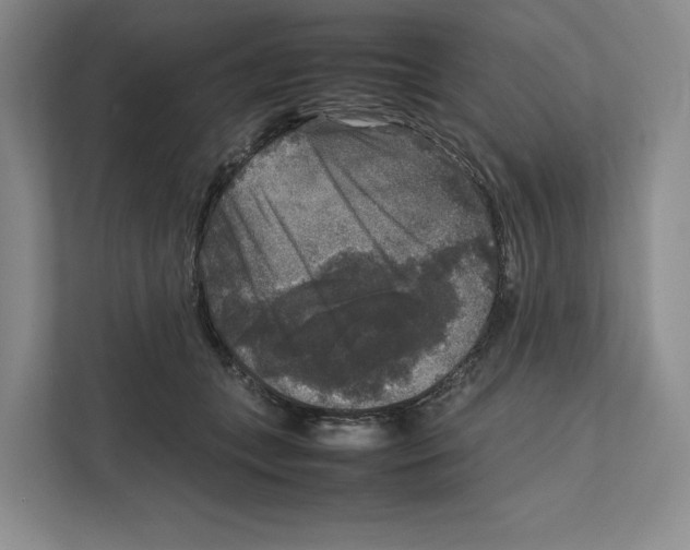 X0000111810559200908201113
