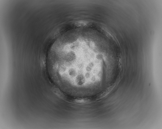 X0000111810561200908201113