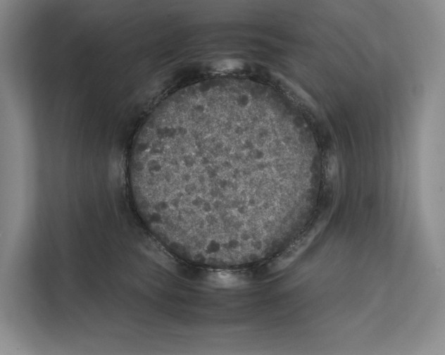 X0000111810565200908201113
