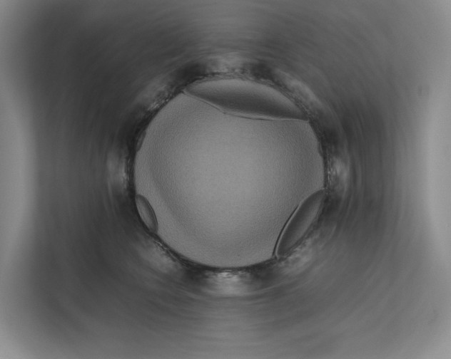 X0000111810566200908201113