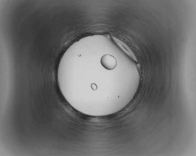 X0000111810568200908201113