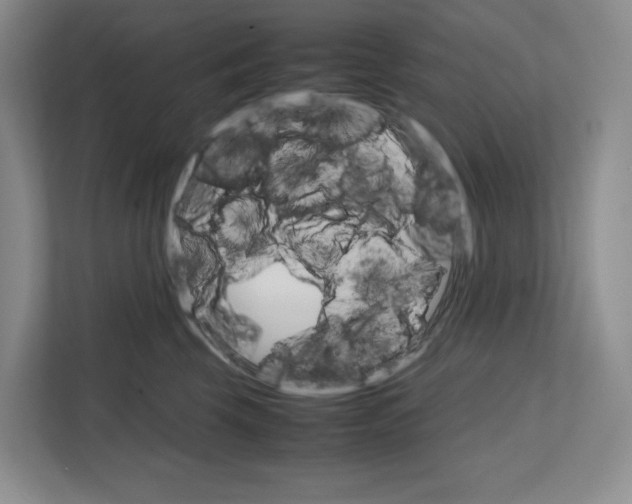 X0000111810569200908201113