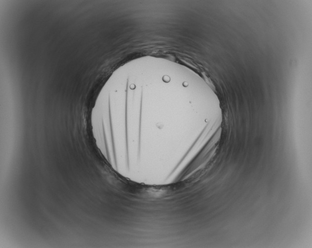 X0000111810570200908201113