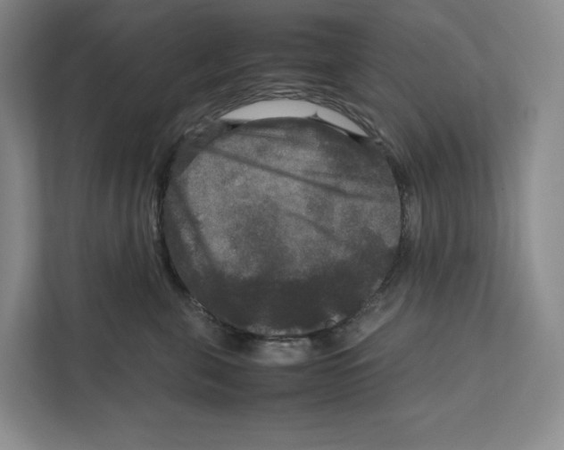 X0000111810571200908201113
