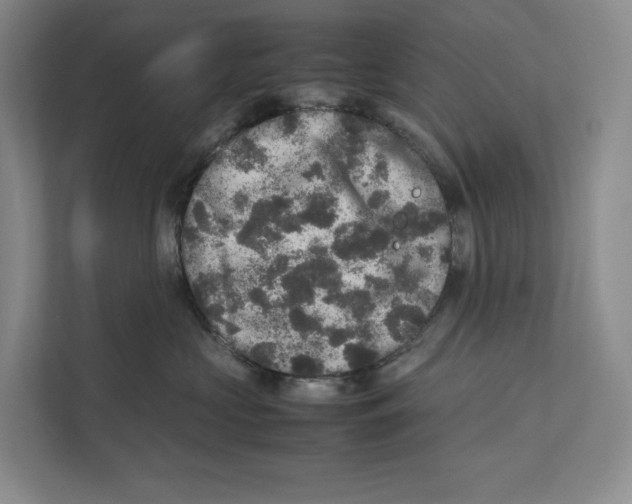 X0000111810573200908201113