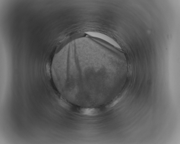 X0000111810575200908201113