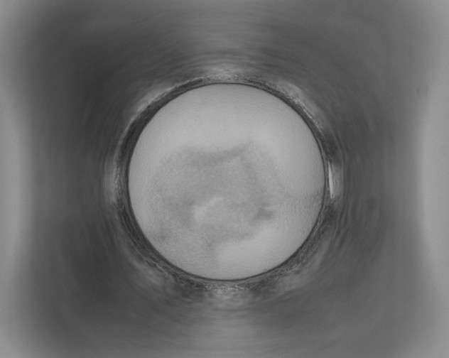 X0000111810579200908201112