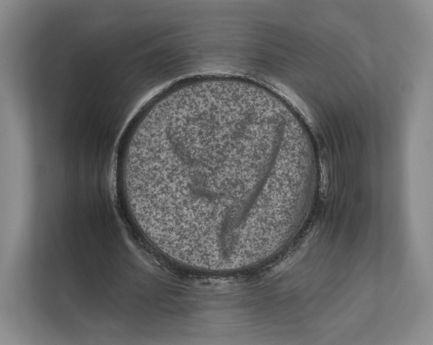 X0000111810580200908201112