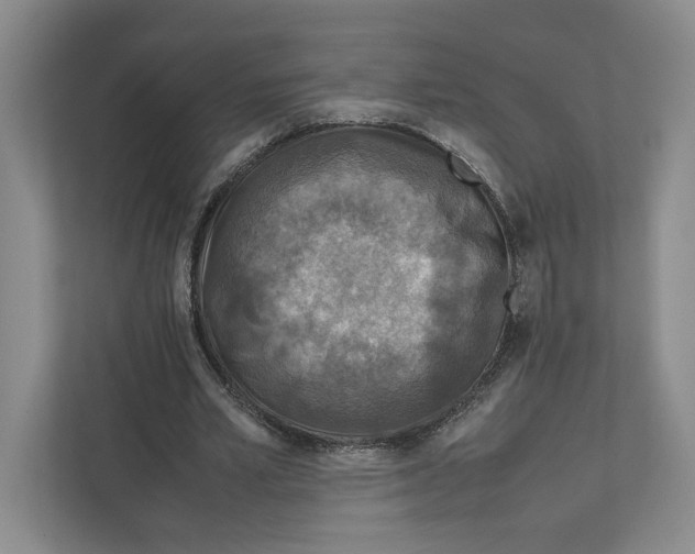 X0000111810581200908201112