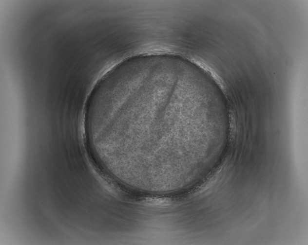 X0000111810582200908201112