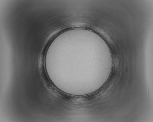 X0000111810583200908201112