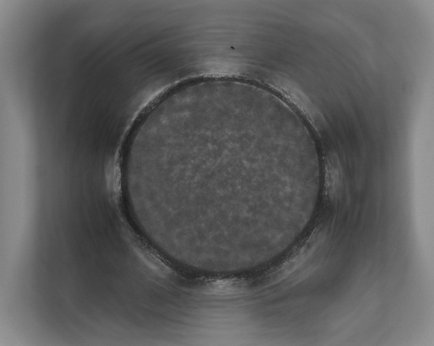 X0000111810584200908201112