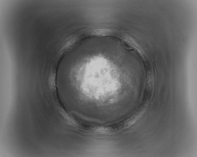 X0000111810585200908201112