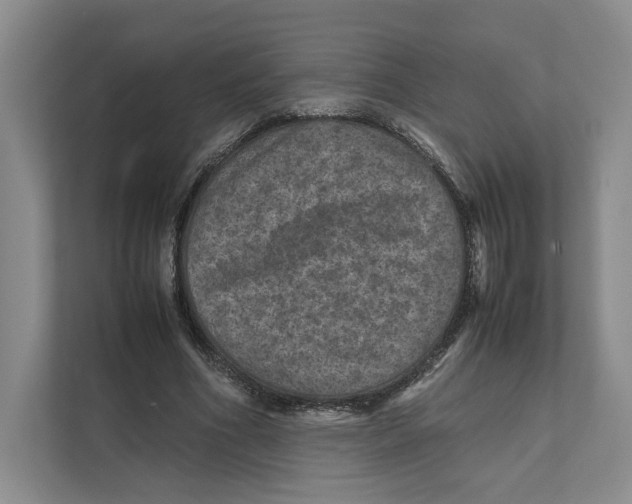 X0000111810586200908201112