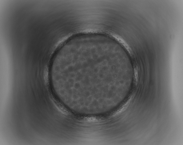 X0000111810588200908201112