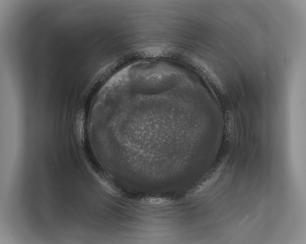 X0000111810590200908201112