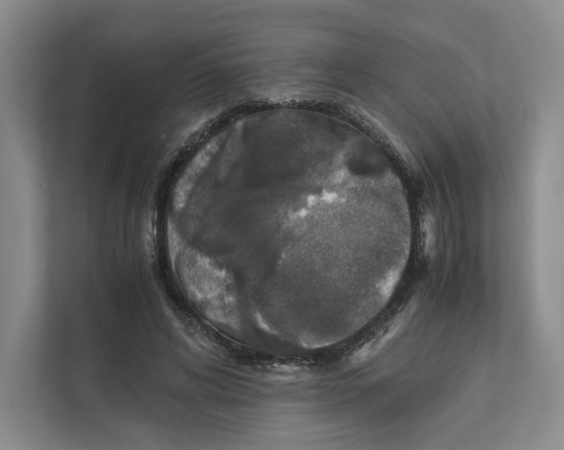 X0000111810592200908201112