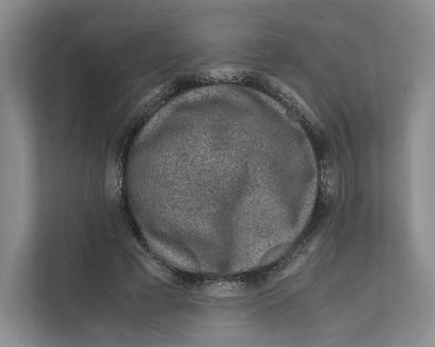 X0000111810593200908201112