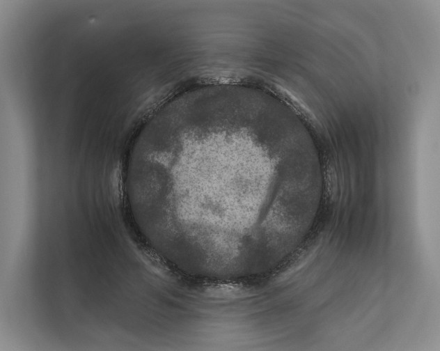 X0000111810594200908201112