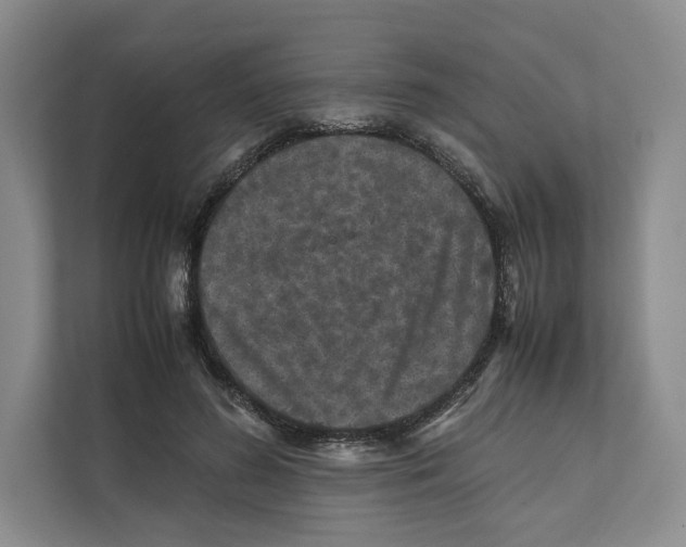 X0000111810596200908201112