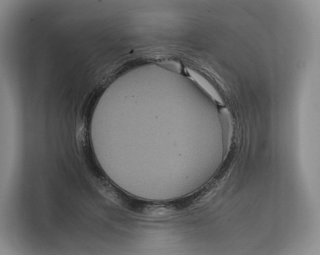 X0000111810597200908201112